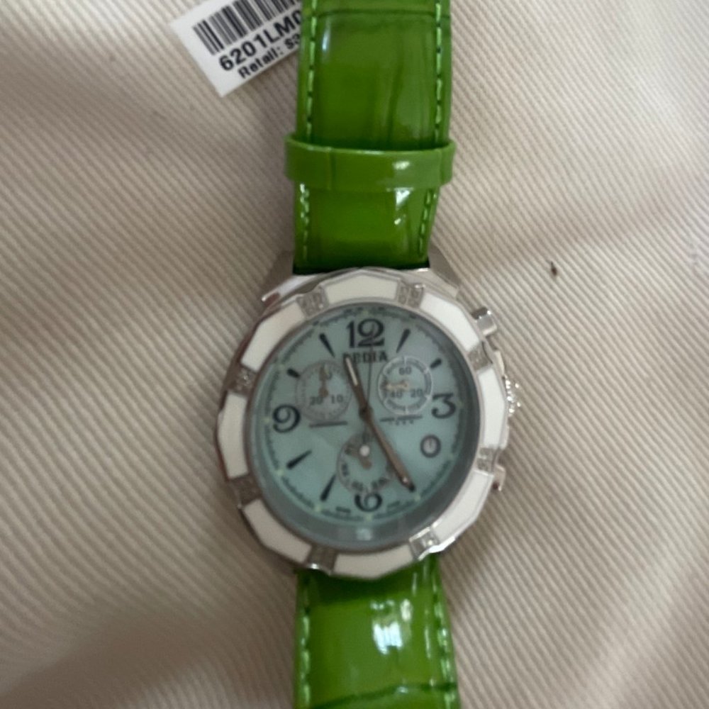 NWT Dedia Lily M Watch
